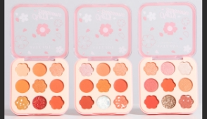 paletas de sombra  anylady